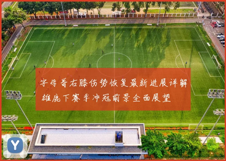 字母哥右膝伤势恢复最新进展详解 雄鹿下赛季冲冠前景全面展望