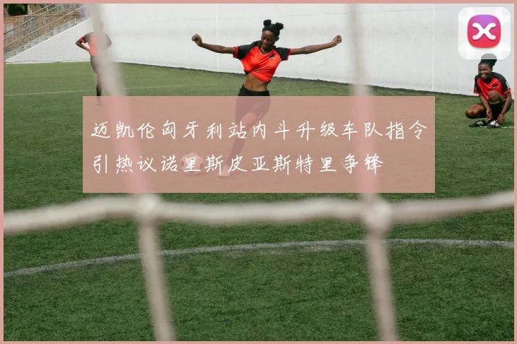 迈凯伦匈牙利站内斗升级车队指令引热议诺里斯皮亚斯特里争锋