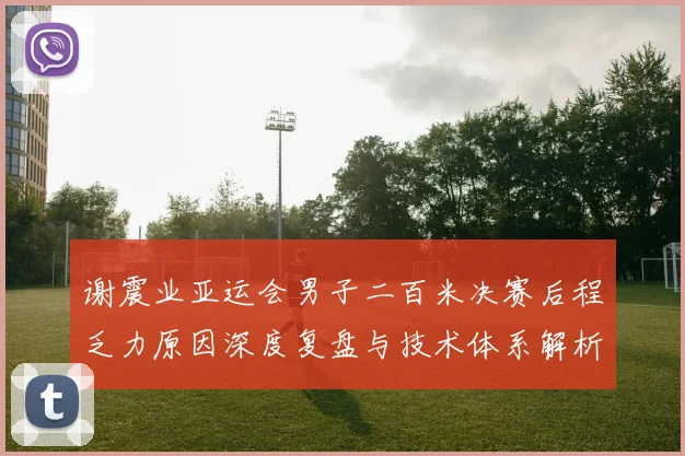 谢震业亚运会男子二百米决赛后程乏力原因深度复盘与技术体系解析